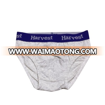 China wholesale custom boy kids underwear,boy fancy underwear,underwear boys