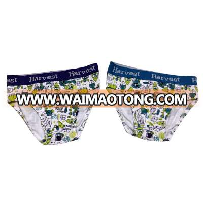 High quality underwear kids boy,children underwear boy models,boys underwear